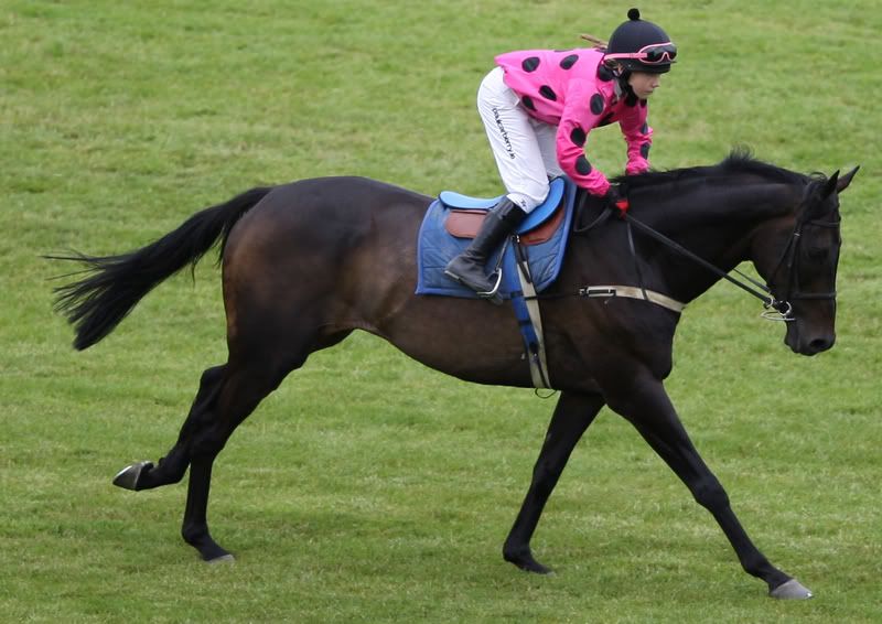 IMAGE: http://i6.photobucket.com/albums/y213/Borderfox/2D7V0001copy.jpg