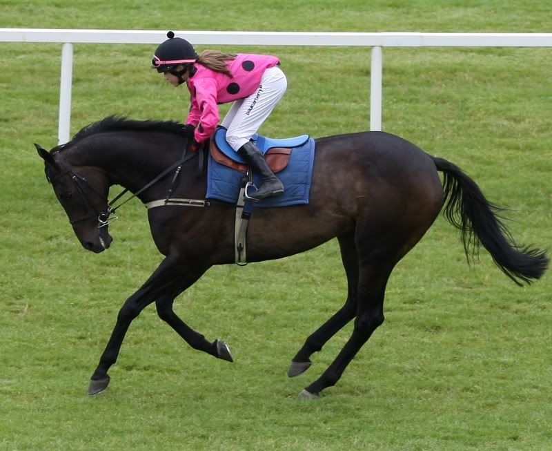 IMAGE: http://i6.photobucket.com/albums/y213/Borderfox/2D7V0042Crop.jpg