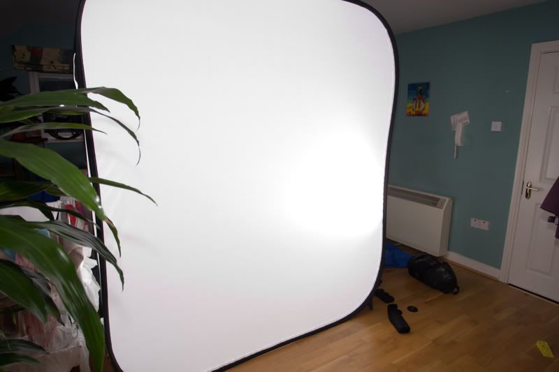 IMAGE: http://i6.photobucket.com/albums/y213/Borderfox/6X7C0705.jpg