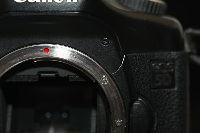 IMAGE: http://i6.photobucket.com/albums/y213/Borderfox/H___5482.jpg