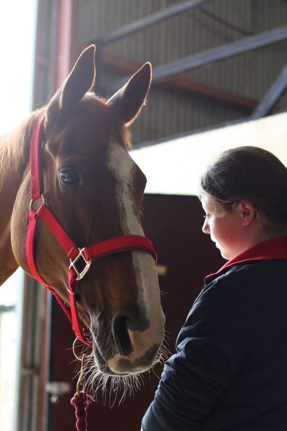 IMAGE: http://i6.photobucket.com/albums/y213/Borderfox/IMG_5164.jpg