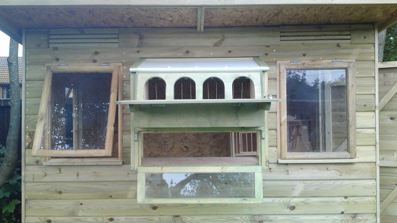 help with small pigeon loft.(we now have birds) - Page 5