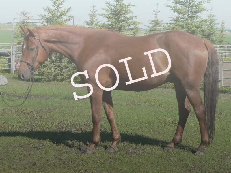 Lemsford-SOLD