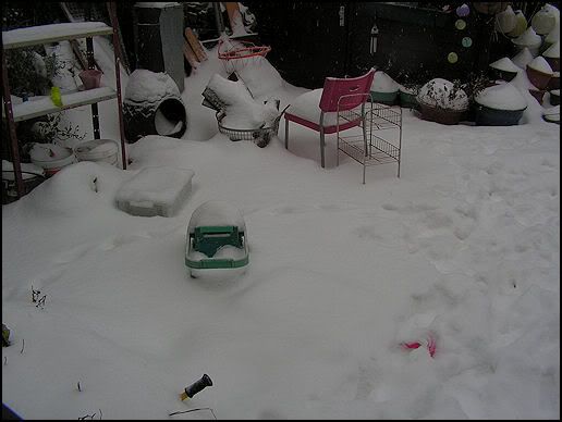 4-dec2.jpg