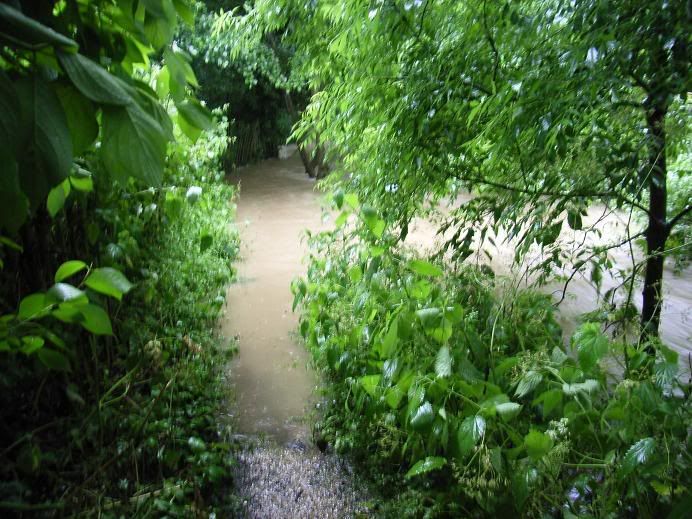 Churchie Flood