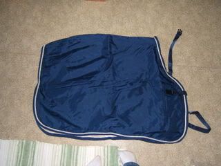 DSCF2164.jpg
