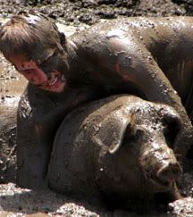 PigContest.jpg