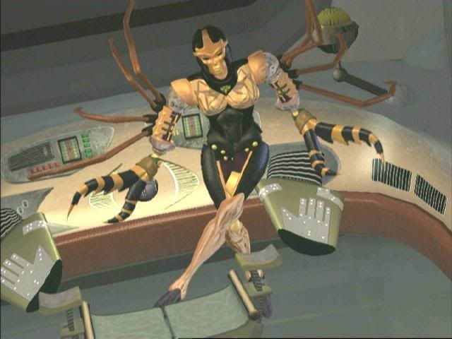 csblackarachnia3.jpg