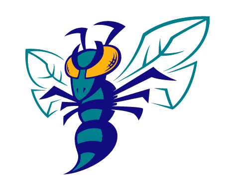New Orleans Hornets Avatar