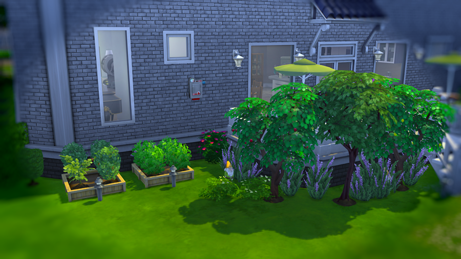 Sims4-Garden4.png~original