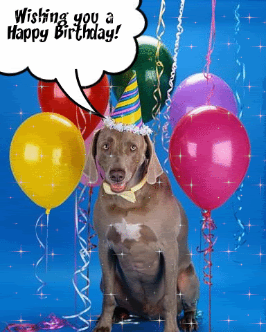 happy birthday balloons gif. happy-irthday-dog-alloons-