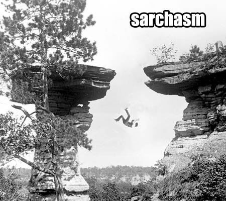 sarchasm.jpg