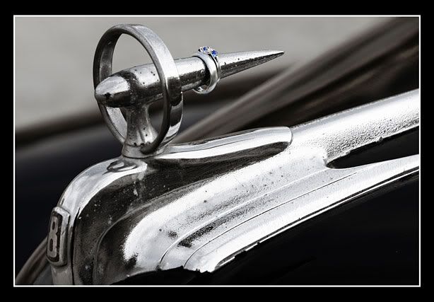 IMAGE: http://i6.photobucket.com/albums/y216/jamiewexler/smMelisaConor0854a.jpg