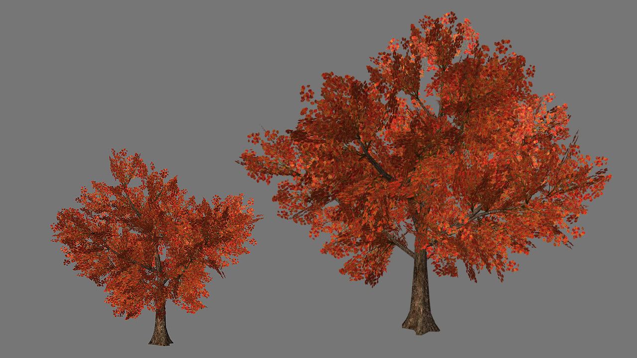 Tree-1.jpg?t=1287006041