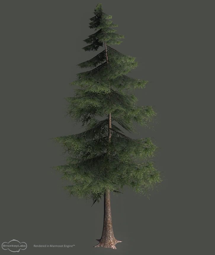 Tree.jpg?t=1264215929
