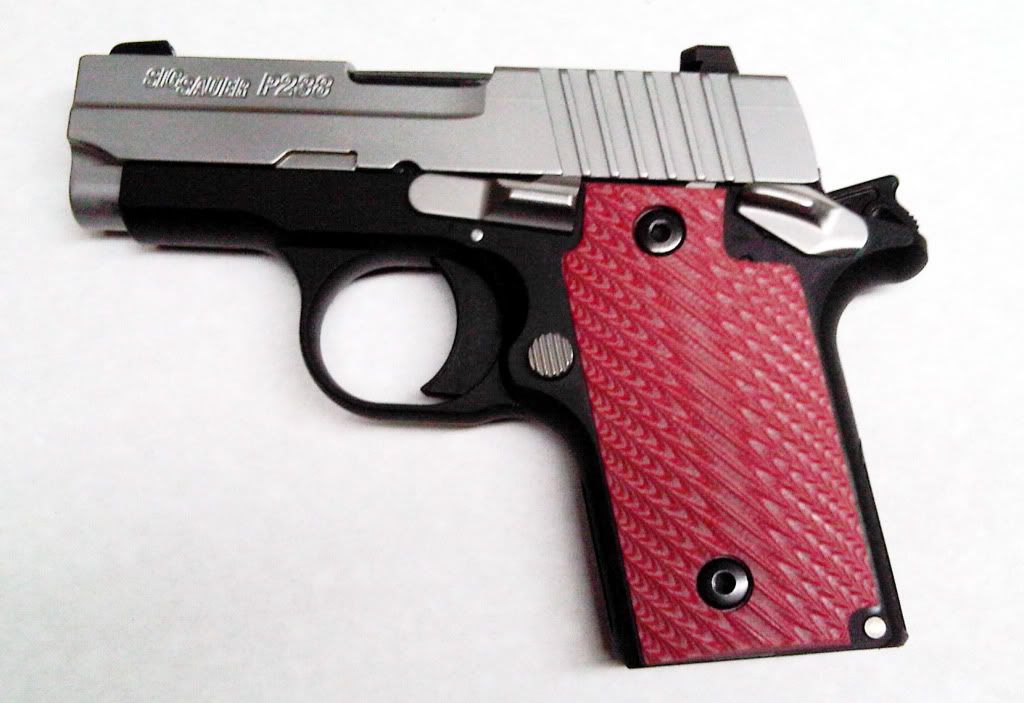 P238withGrips2cc.jpg