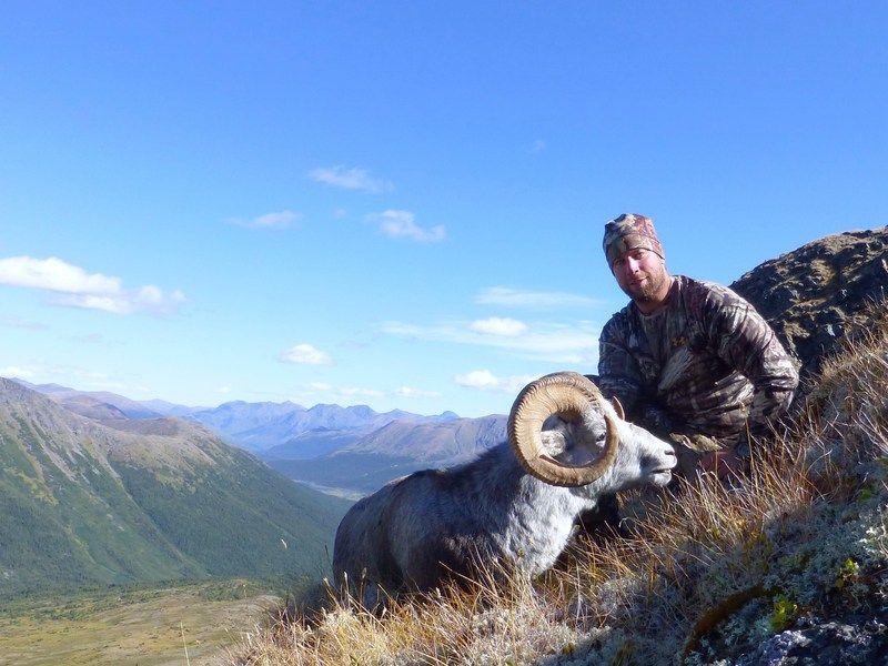 2012 Thin horn sheep picture thread - Page 3