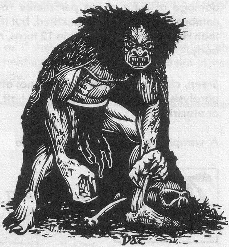 ADD003MonsterManual212Wight.jpg