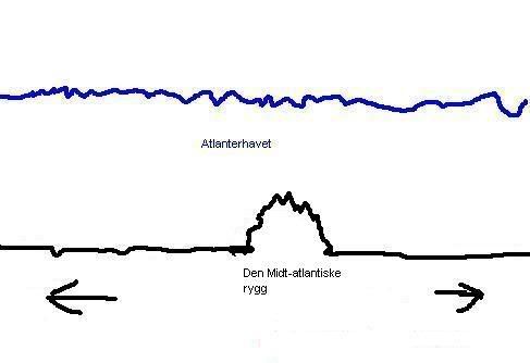 Bilde3.jpg