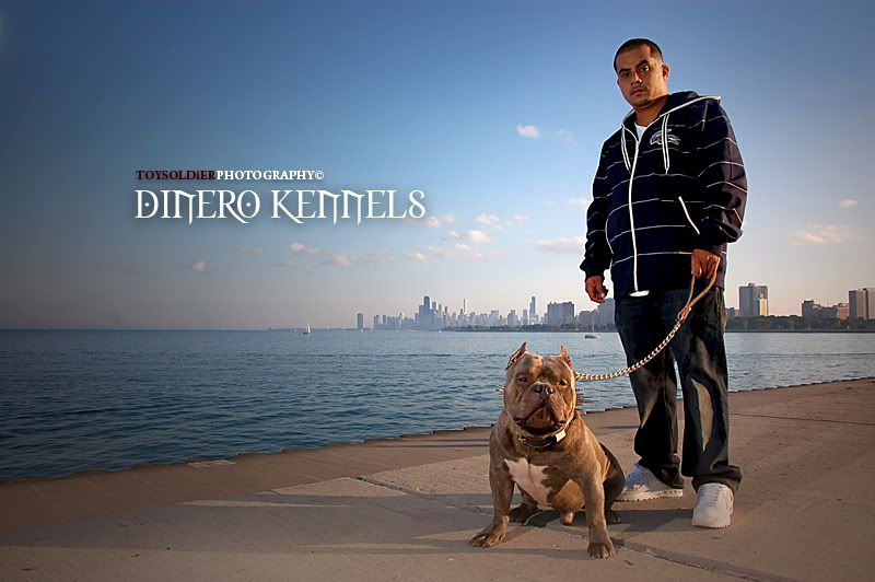 Jimpics_Dinero_DSC_0367.jpg picture by Jimnhan