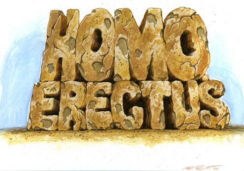 watch look online adam rifkin