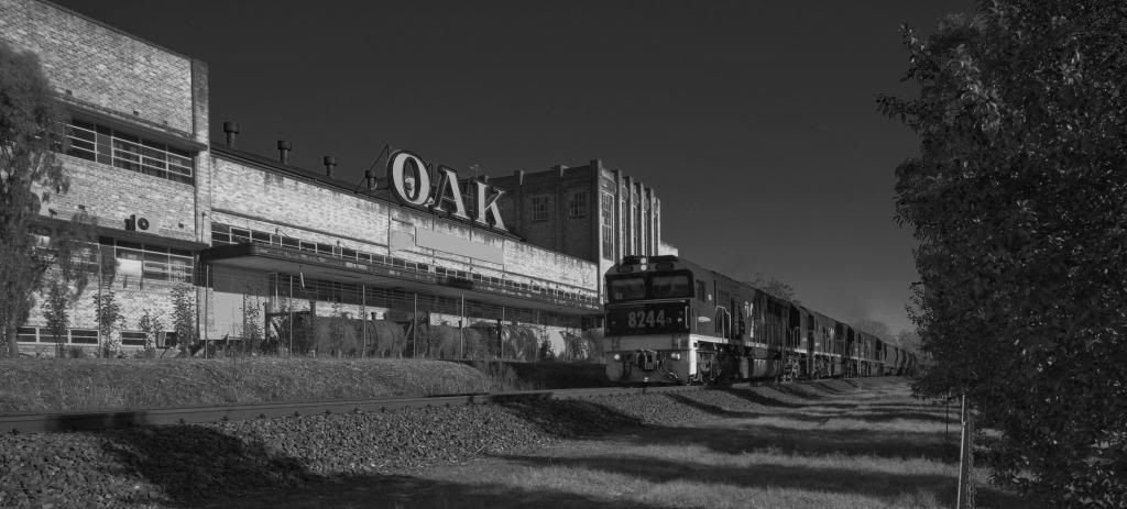 IMAGE: http://i6.photobucket.com/albums/y219/cupitt/photoforums/oaktraininbw_zps72f74b93.jpg