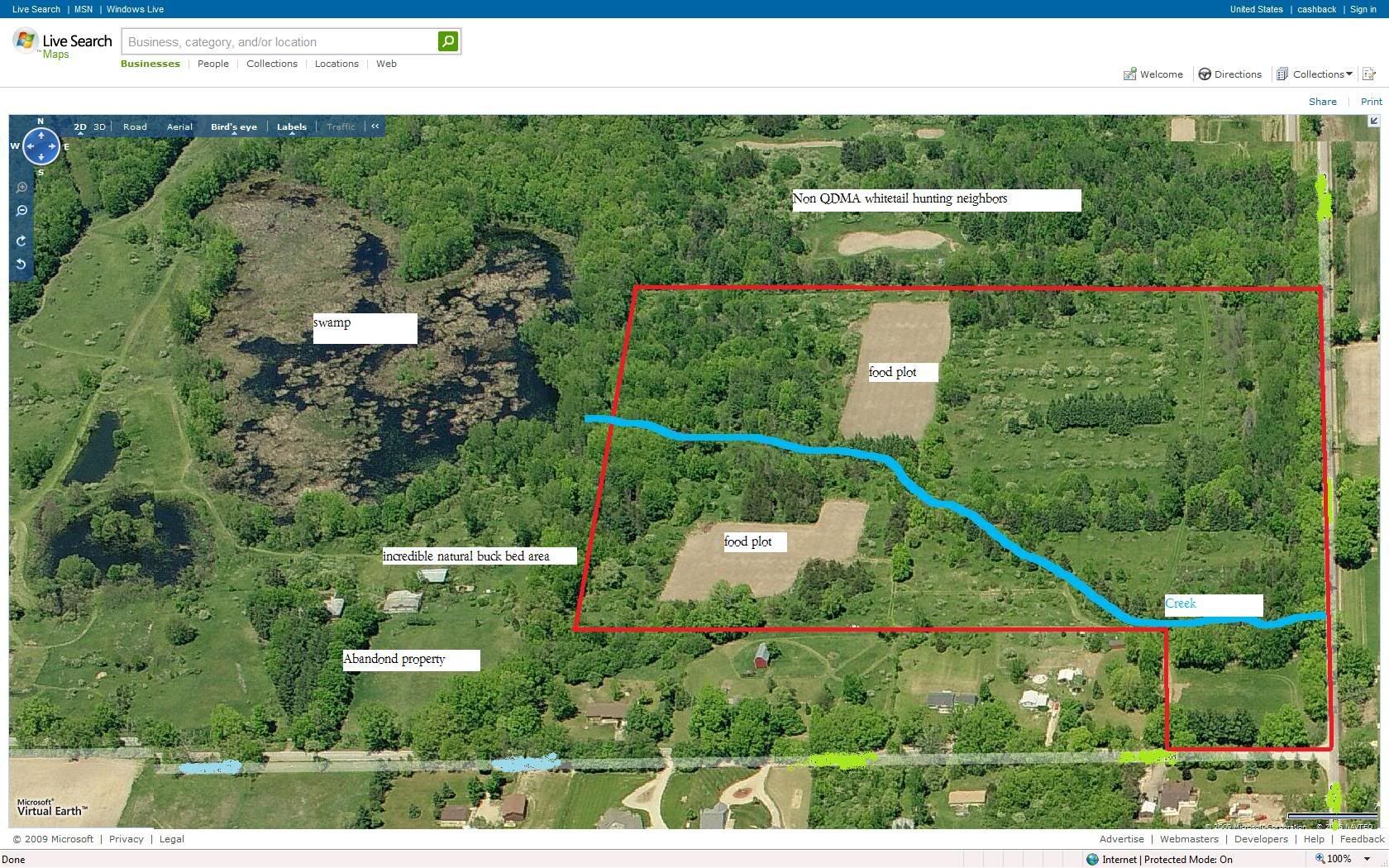 Whitetail habitat improvement Michigan Sportsman Online Michigan