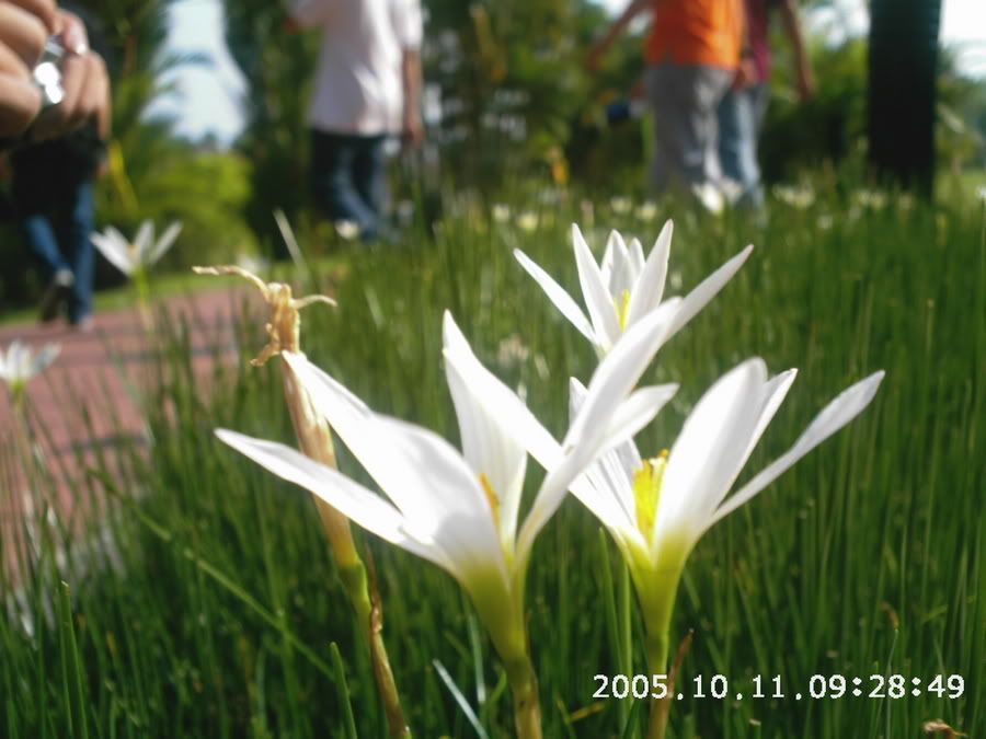 Image hosted by Photobucket.com