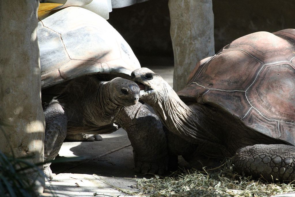 04-08-2013-zoo131.jpg