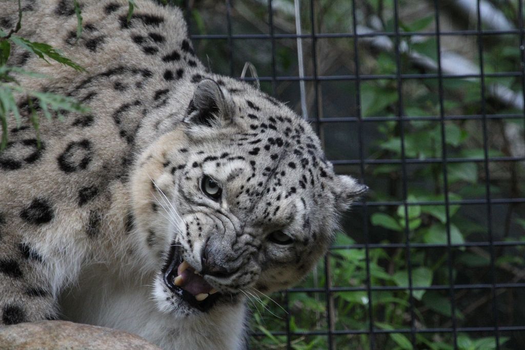 04-08-2013-zoo337.jpg