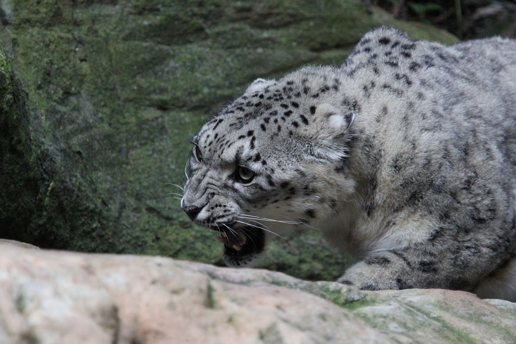 04-08-2013-zoo347.jpg