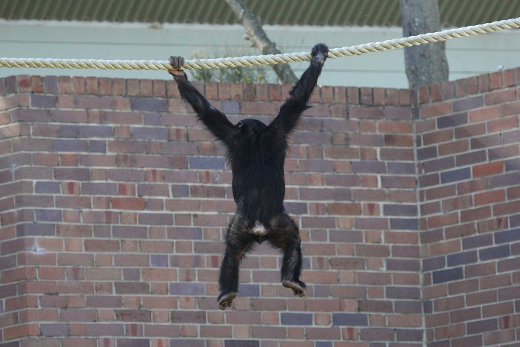 04-08-2013-zoo852.jpg