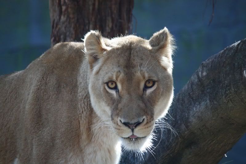 05-11-2011-zoo095.jpg