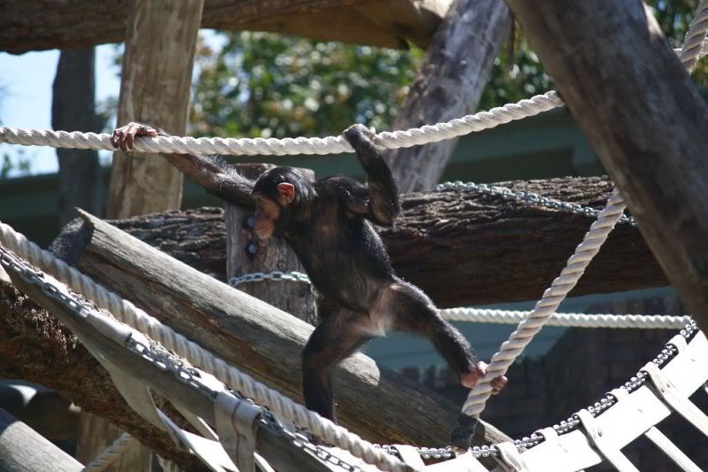 05-11-2011-zoo525.jpg