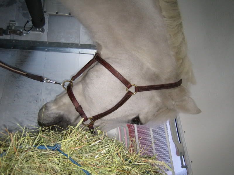 AnkomstYtten010407012.jpg