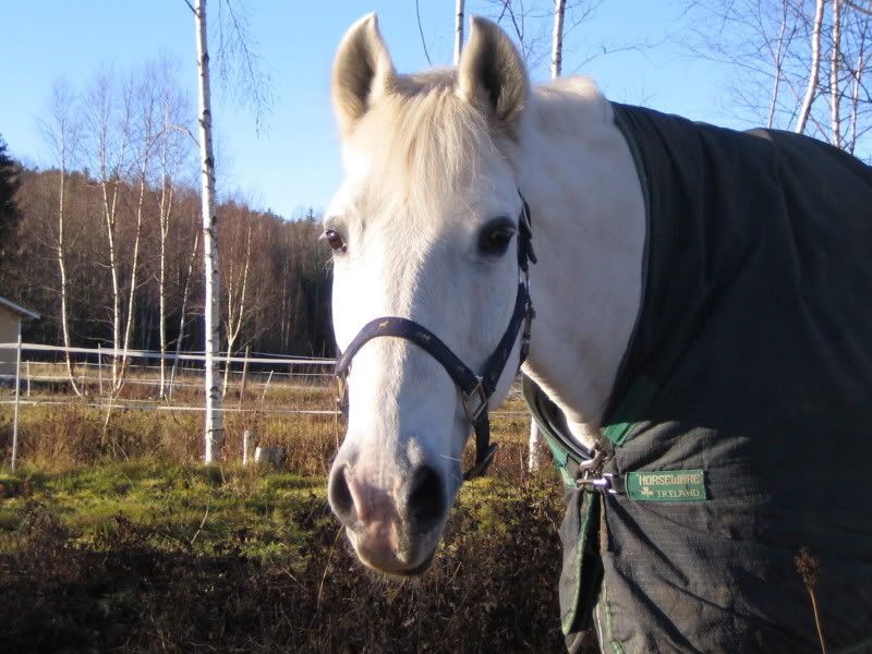 november07056.jpg