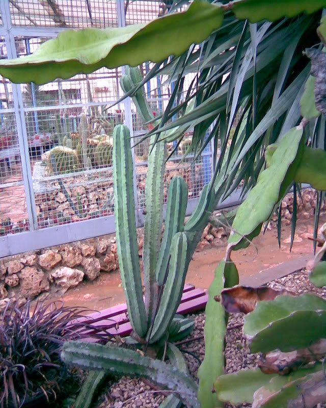 015.jpg