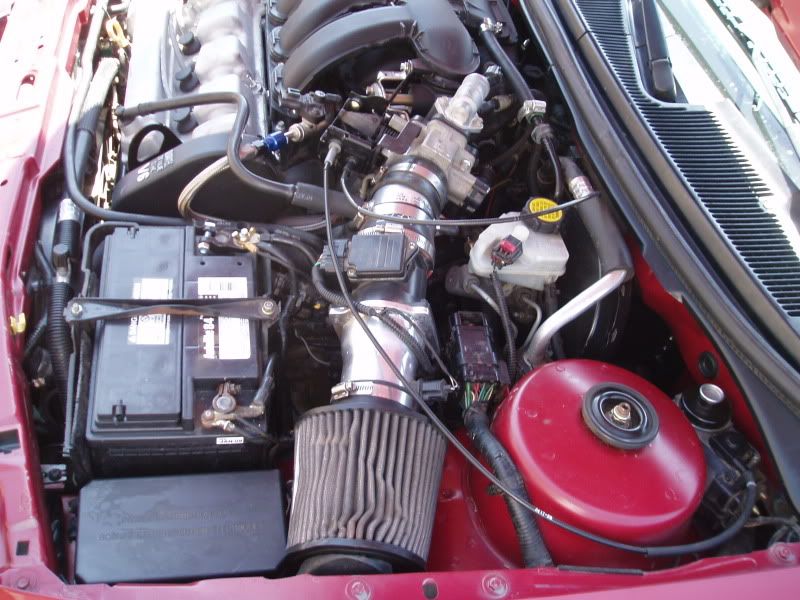 P1010096-1.jpg