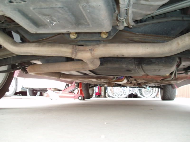 P1010107-1.jpg
