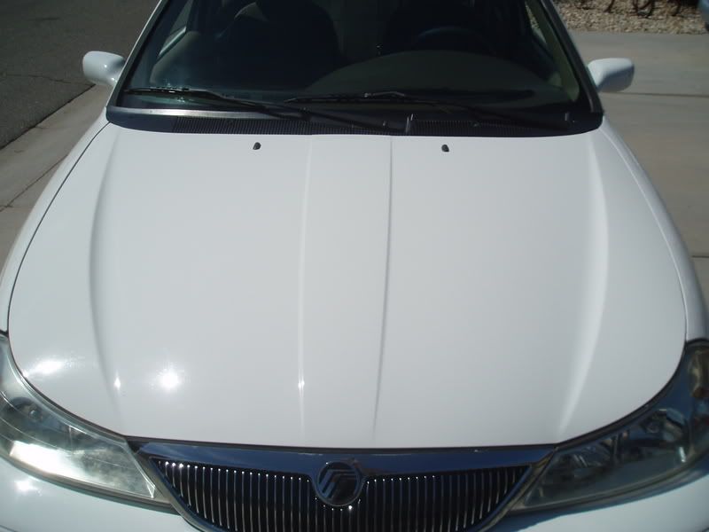 P1010006.jpg
