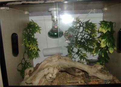 vivarium2.jpg