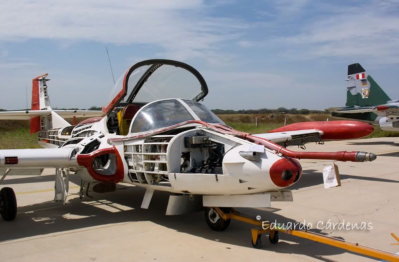 OA-37B_FAP_Instruc_1161_ECardenas.jpg