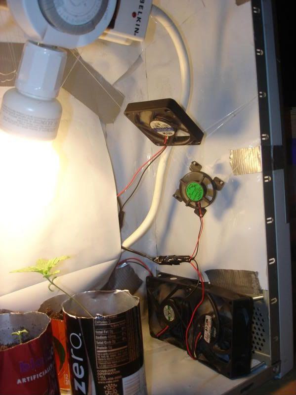 PC Case Micro Grow.CFL. Soil. 12/12 Grasscity Forums The 1