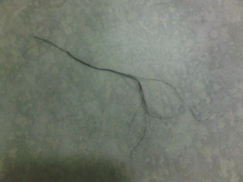 hair3.jpg