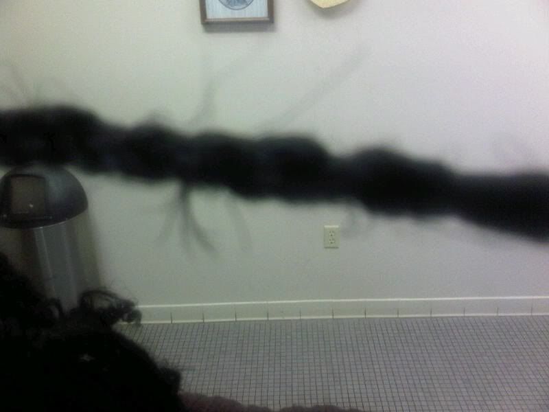 hair4.jpg