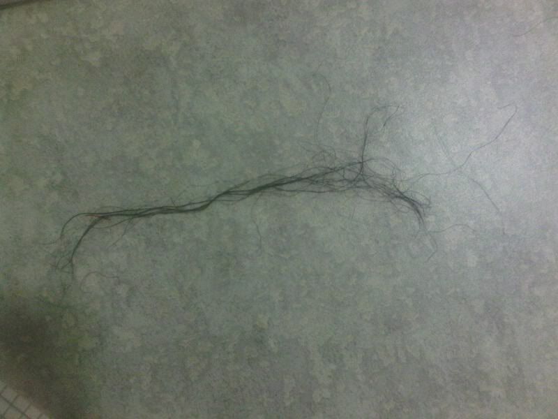 hair5.jpg
