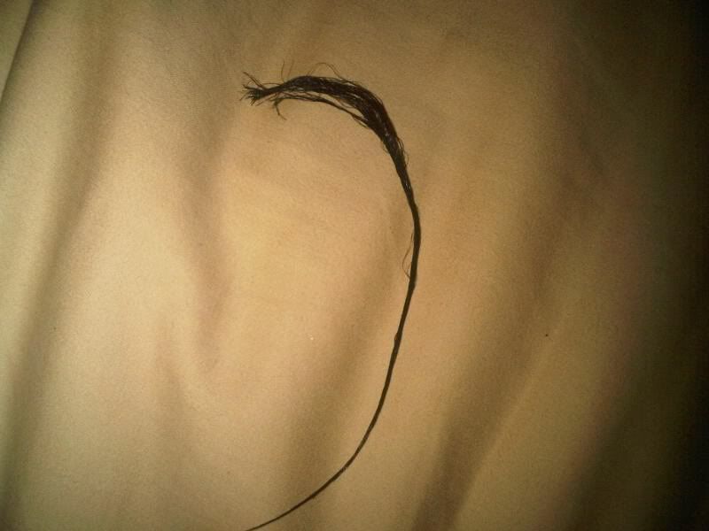 hair6.jpg