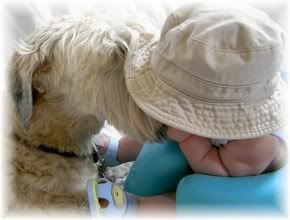 Image hosted by Photobucket.com