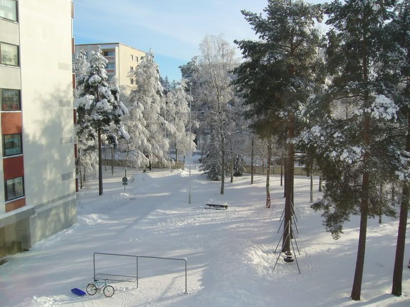 snowy_yard1.jpg