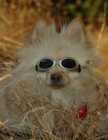 Image hosted by Photobucket.com